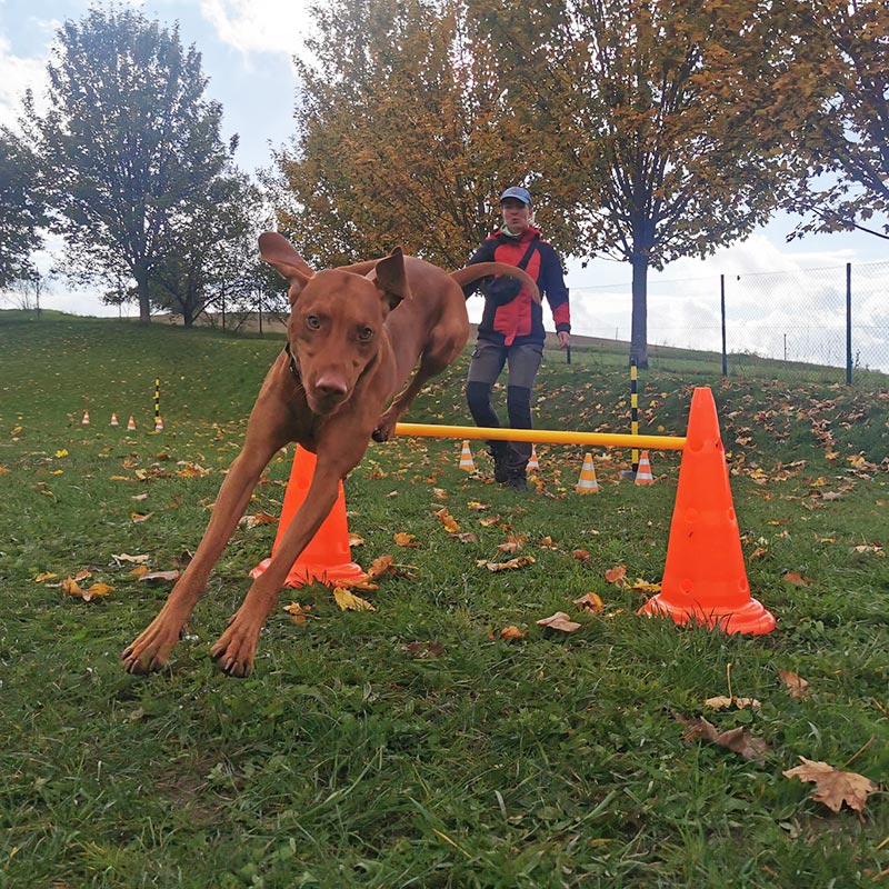 Hundeplatz Fasti 1